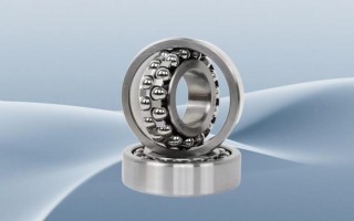 ZWZ轴承异响的5大原因及解决方法