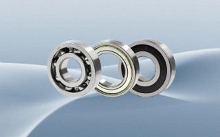 ZWZ轴承异响的5大原因及解决方法