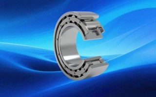 为什么ZWZ轴承能替代进口？材料工艺与检测标准全解析